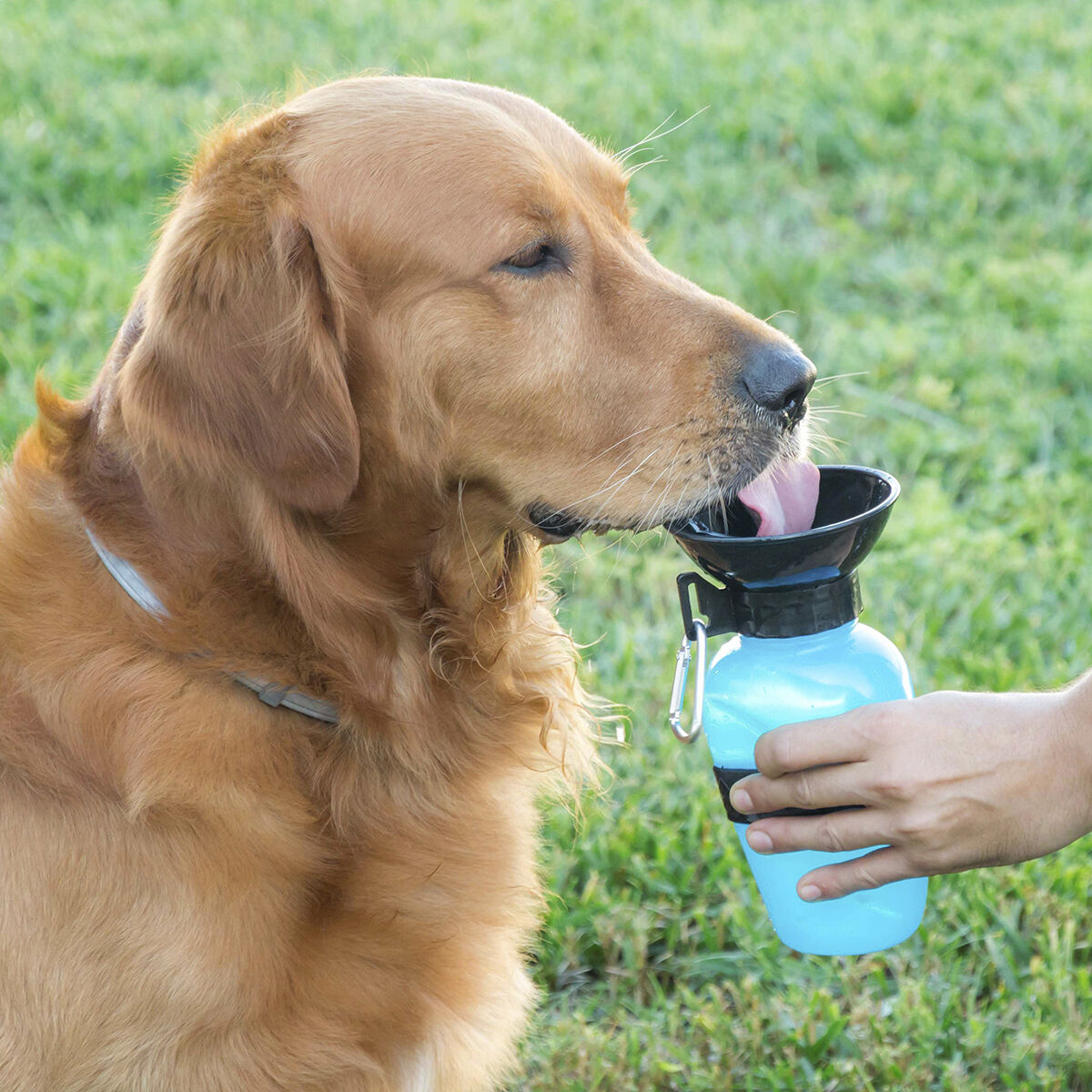 Dog Water Bottle-Dispenser InnovaGoods-0