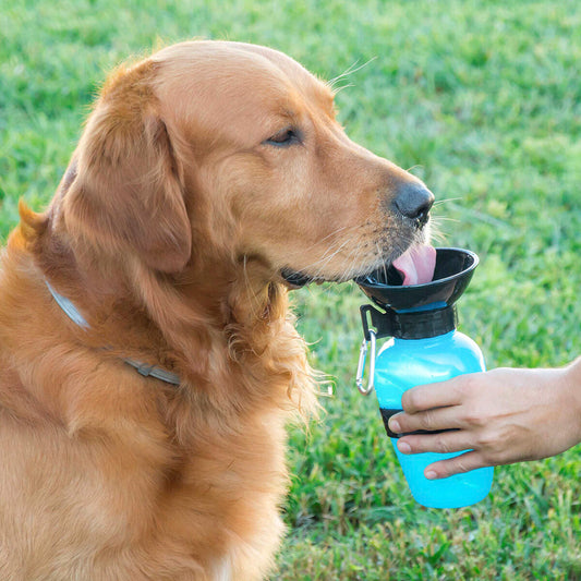 Dog Water Bottle-Dispenser InnovaGoods-0